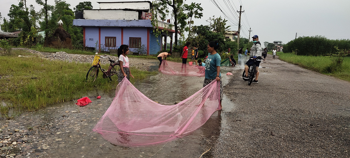 https://www.setopati.com/uploads/shares/2020/sujita/bharatpurr chitwan/bharatpur (1).jpg